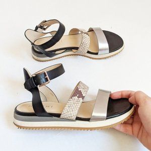 M. Gemi Quarto Snake-Skin Leather Platform Sandals